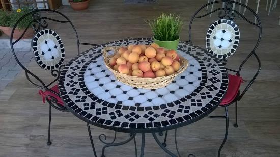Il Casale Di Rodolfo Bed & Breakfast Termoli Eksteriør bilde
